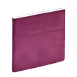 Agenda 2027 Exécutif Color - Semainier Planning Multilingue - Susan Violet - 13 mois de décembre à décembre - 16x16 cm - Quo Vadis photo du produit