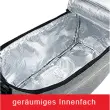 IWH Sac isotherme pour porte-bagages de vélo, noir photo du produit