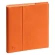 Agenda bi-matière effet python semaine sur 2 pages verticale 7 jours 7h-21h RDV 1/2h multilingue spirale intérieure - Exacompta photo du produit