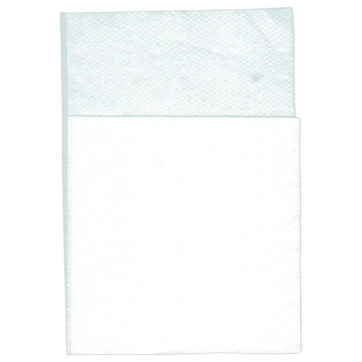 200 Serviettes 2 plis - 16,5 x 20 cm - Blanc - Access photo du produit