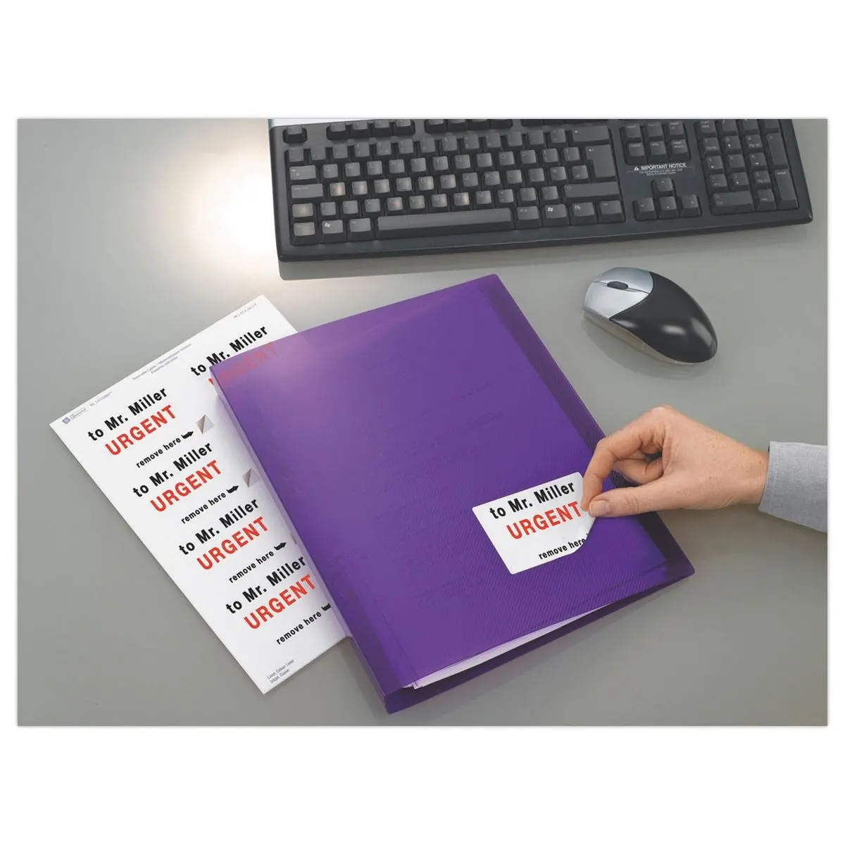 25 Planches de 189 étiquettes blanches enlevables - 25,4x10mm - AVERY photo du produit