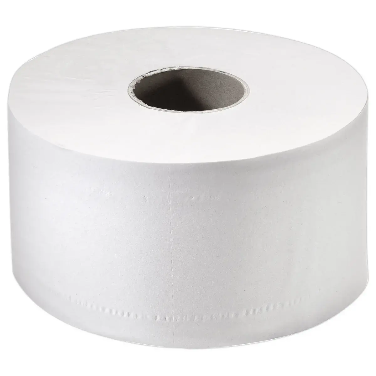 12 Rouleaux de papier toilette mini Jumbo - Double &eacute;paisseur - Papernet photo du produit