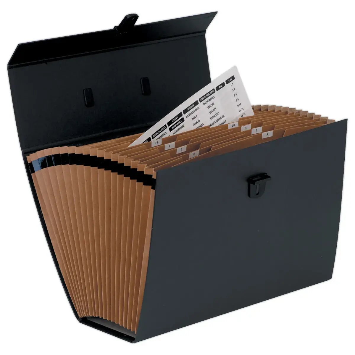 Trieur accord&eacute;on Handifile - Noir - Fellowes photo du produit