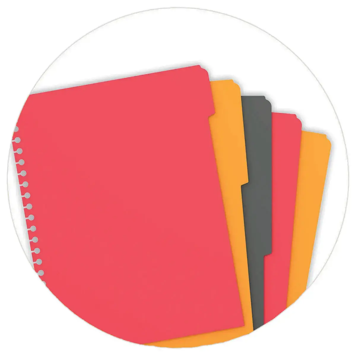 Cahier A4 Managerbook Ligné 6 mm 5x5 80g - Oxford photo du produit