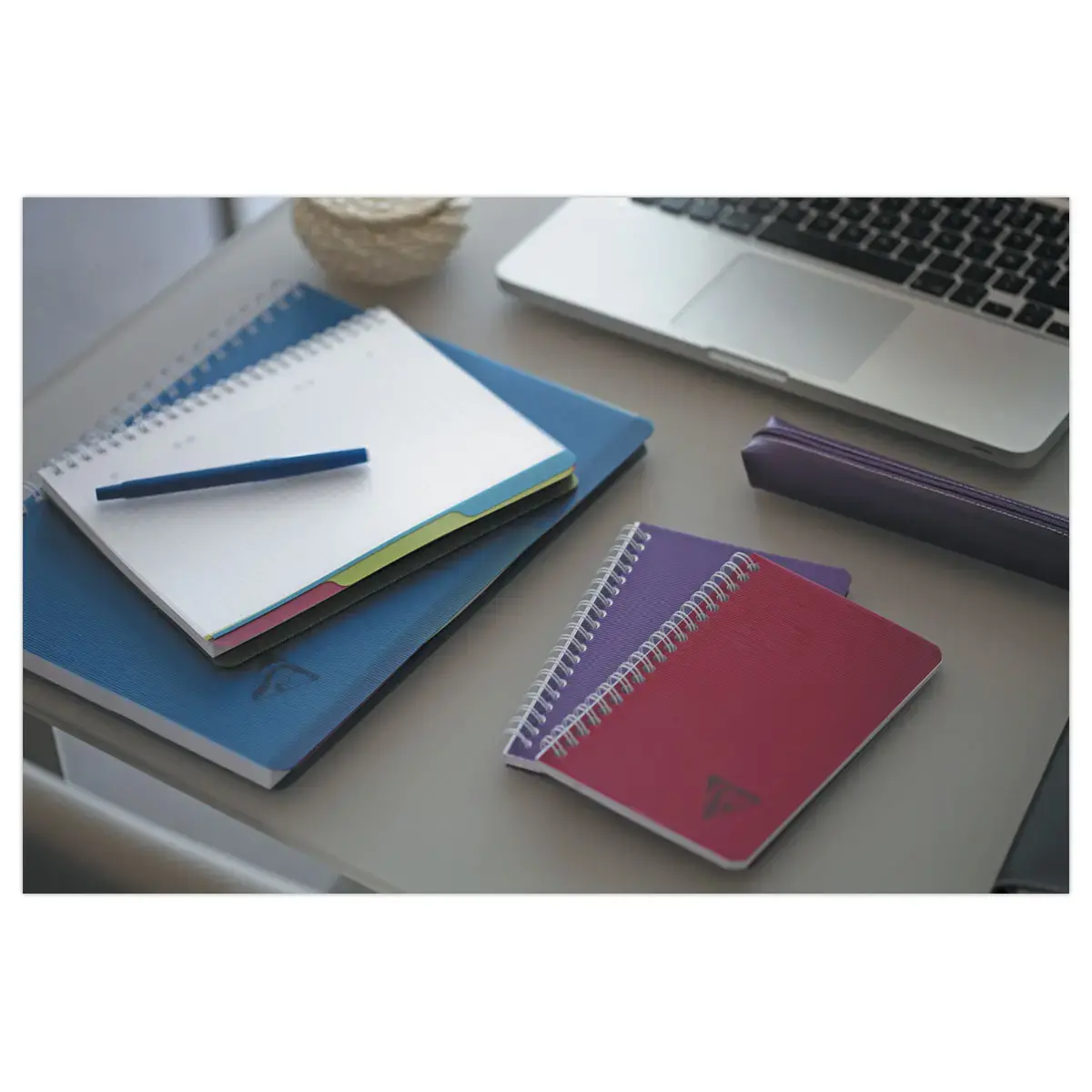 Cahier spirale A4+ Evolutiv'Book Linicolor - Clairefontaine photo du produit