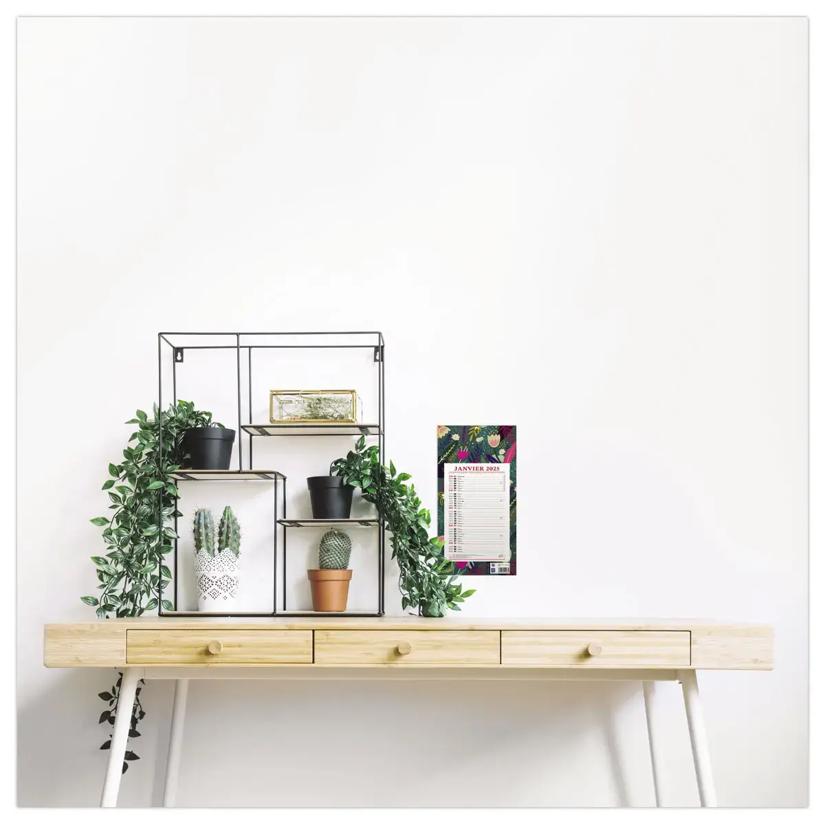 Calendrier mensuel à effeuiller Vegetal - 19x36 cm - Janvier à décembre - BOUCHUT GRANDREMY photo du produit