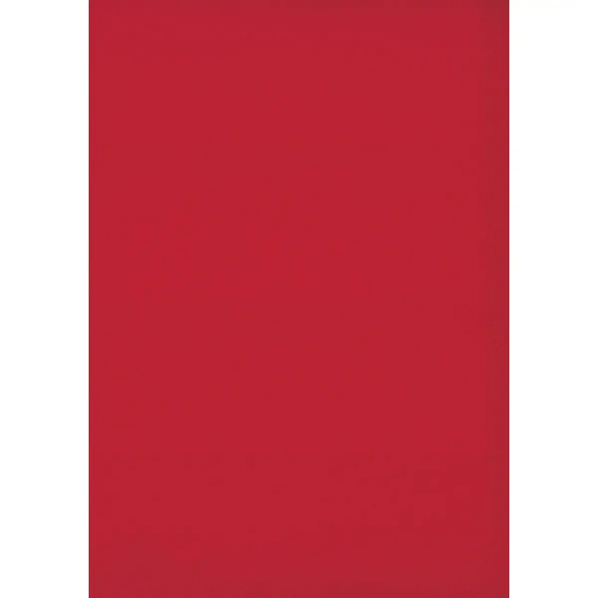 Chaise confort Iso - Assise rouge - Dossier noir photo du produit