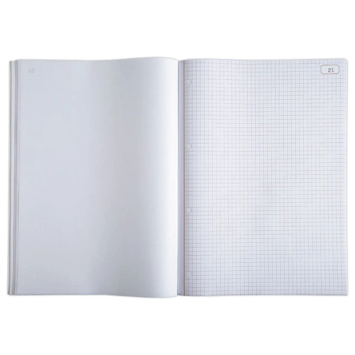 Manifold autocopiant imprimé quadrillé - 2 feuillets - 21 x 29,7 cm - LE DAUPHIN photo du produit