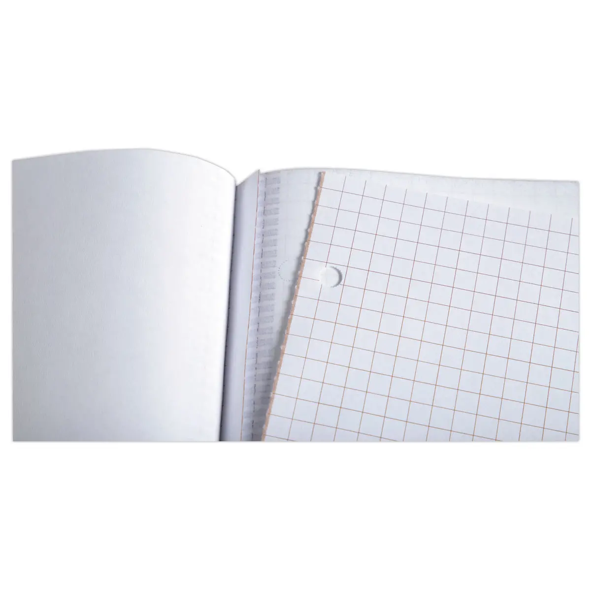 Manifold autocopiant imprimé quadrillé - 2 feuillets - 21 x 29,7 cm - LE DAUPHIN photo du produit