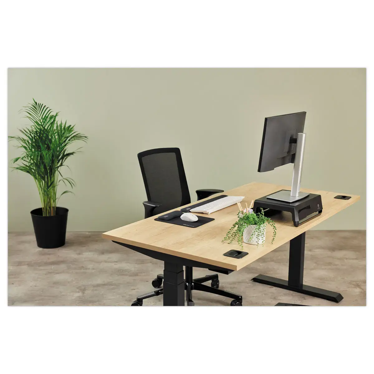 Tapis de souris avec repose-poignet Breyta - Noir - FELLOWES photo du produit