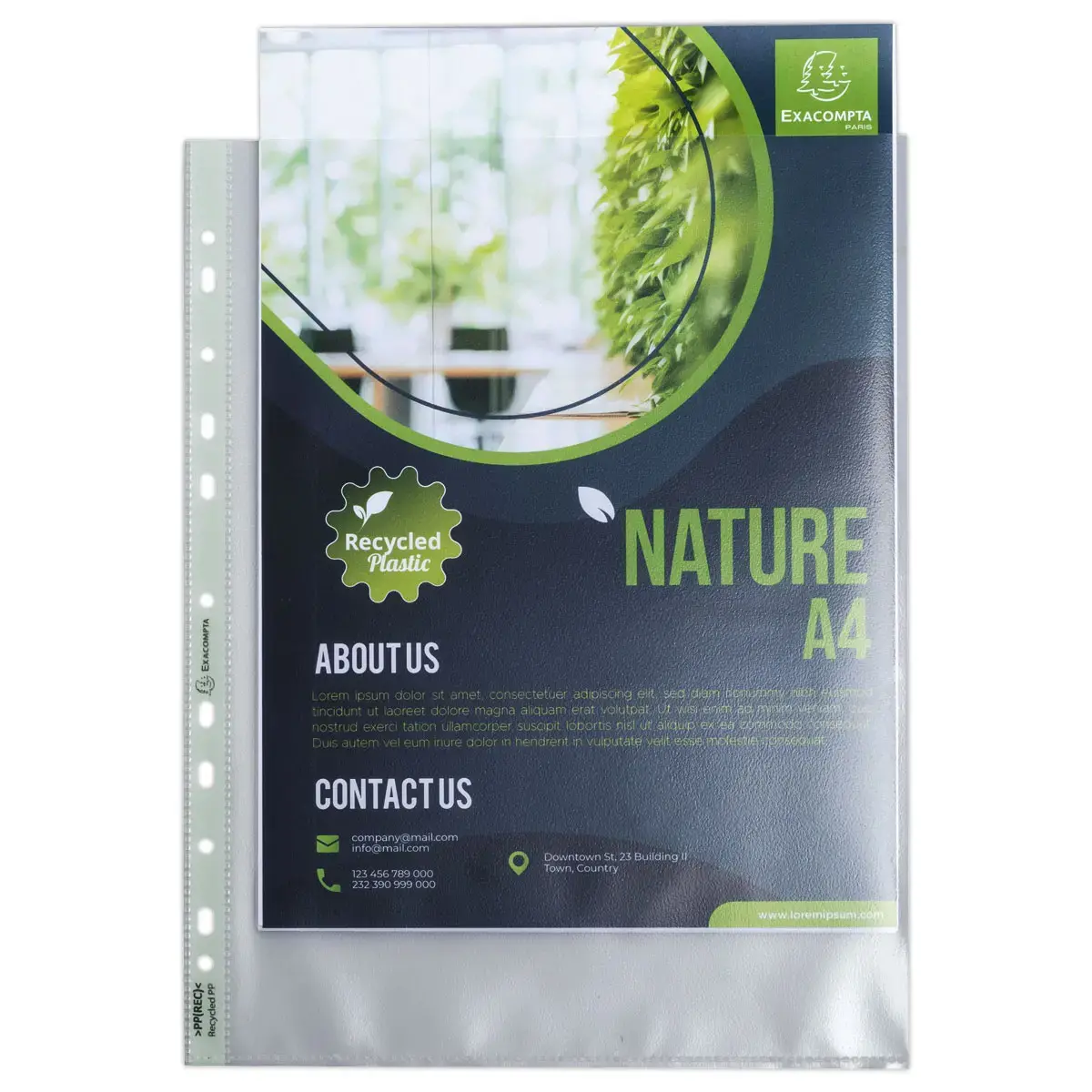 50 Pochettes perfor&eacute;es Forever - Plastique 9/100e - A4 Maxi - Exacompta photo du produit