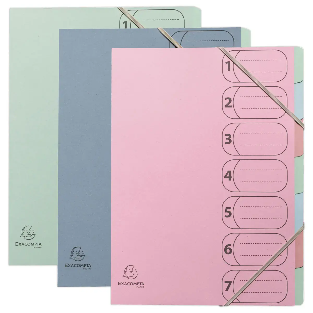 Trieur avec &eacute;lastiques AutentiK - 7 compartiments - Exacompta photo du produit