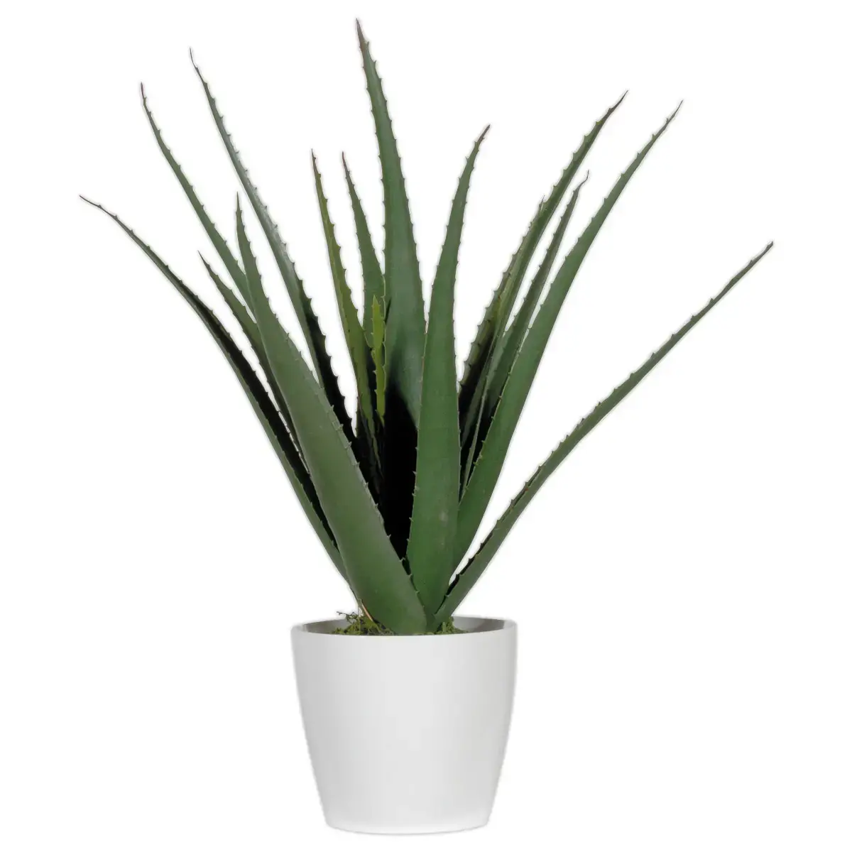 Plante artificielle Aloe vera - H 45 cm photo du produit