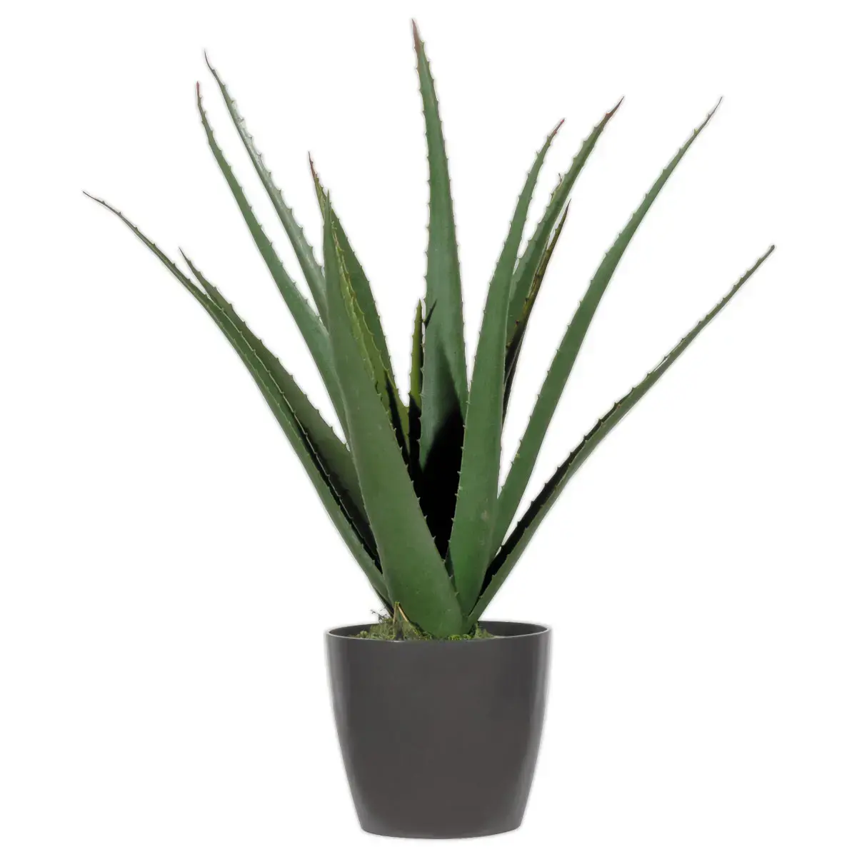 Plante artificielle Aloe vera - H 45 cm photo du produit