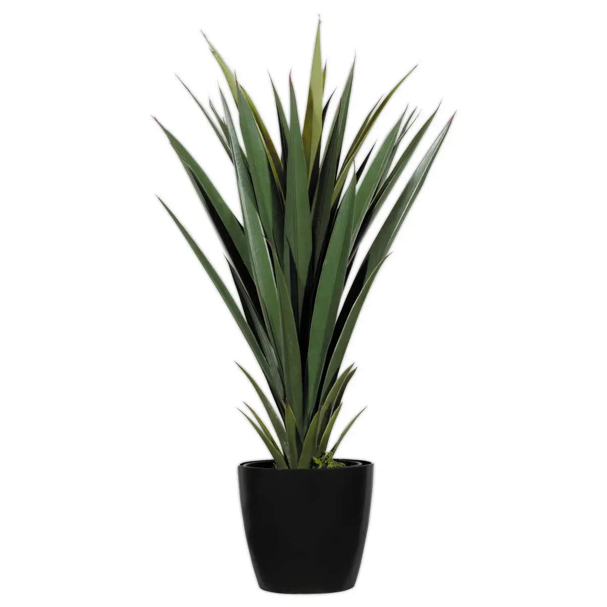 Plante artificielle Yucca - H 60 cm photo du produit