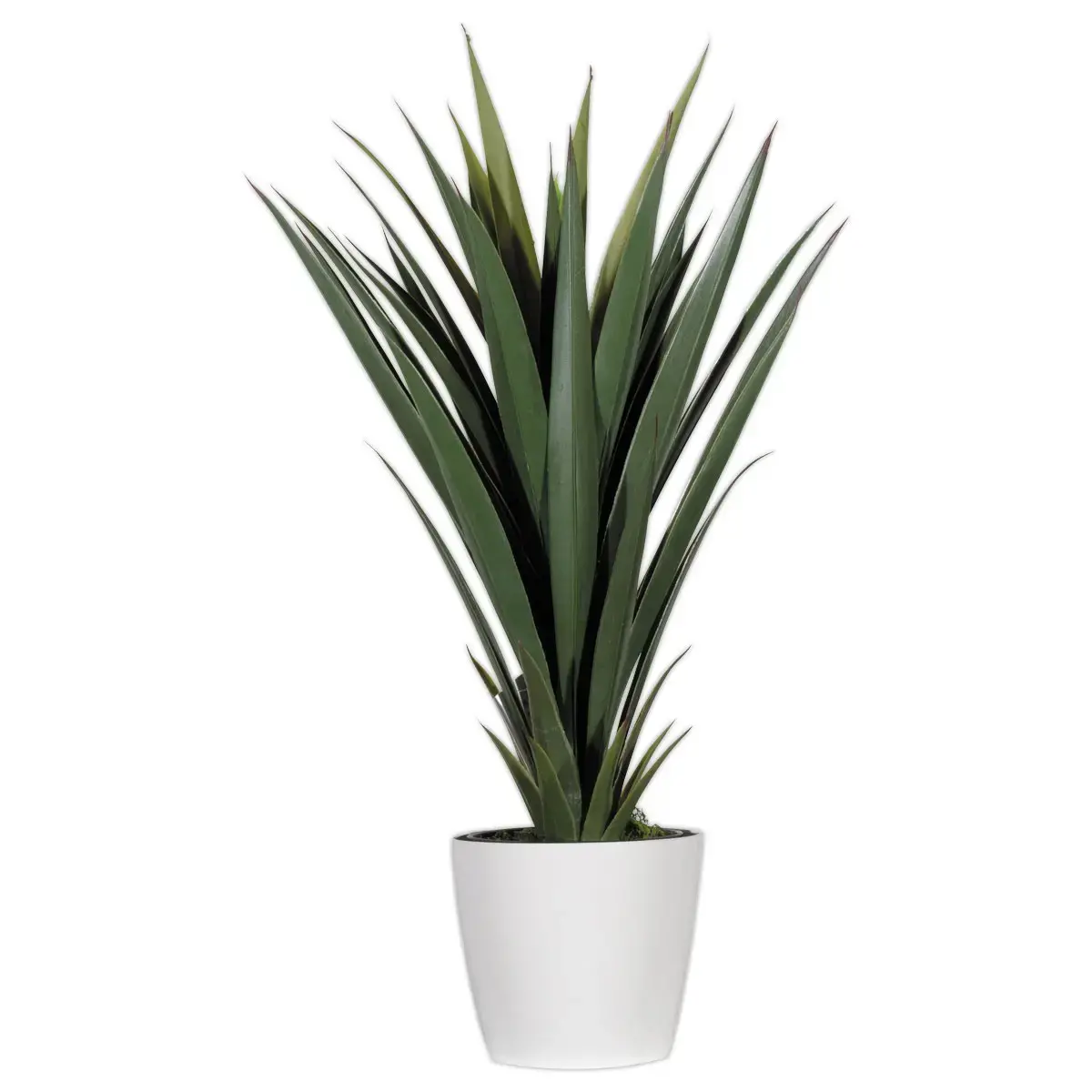 Plante artificielle Yucca - H 60 cm photo du produit