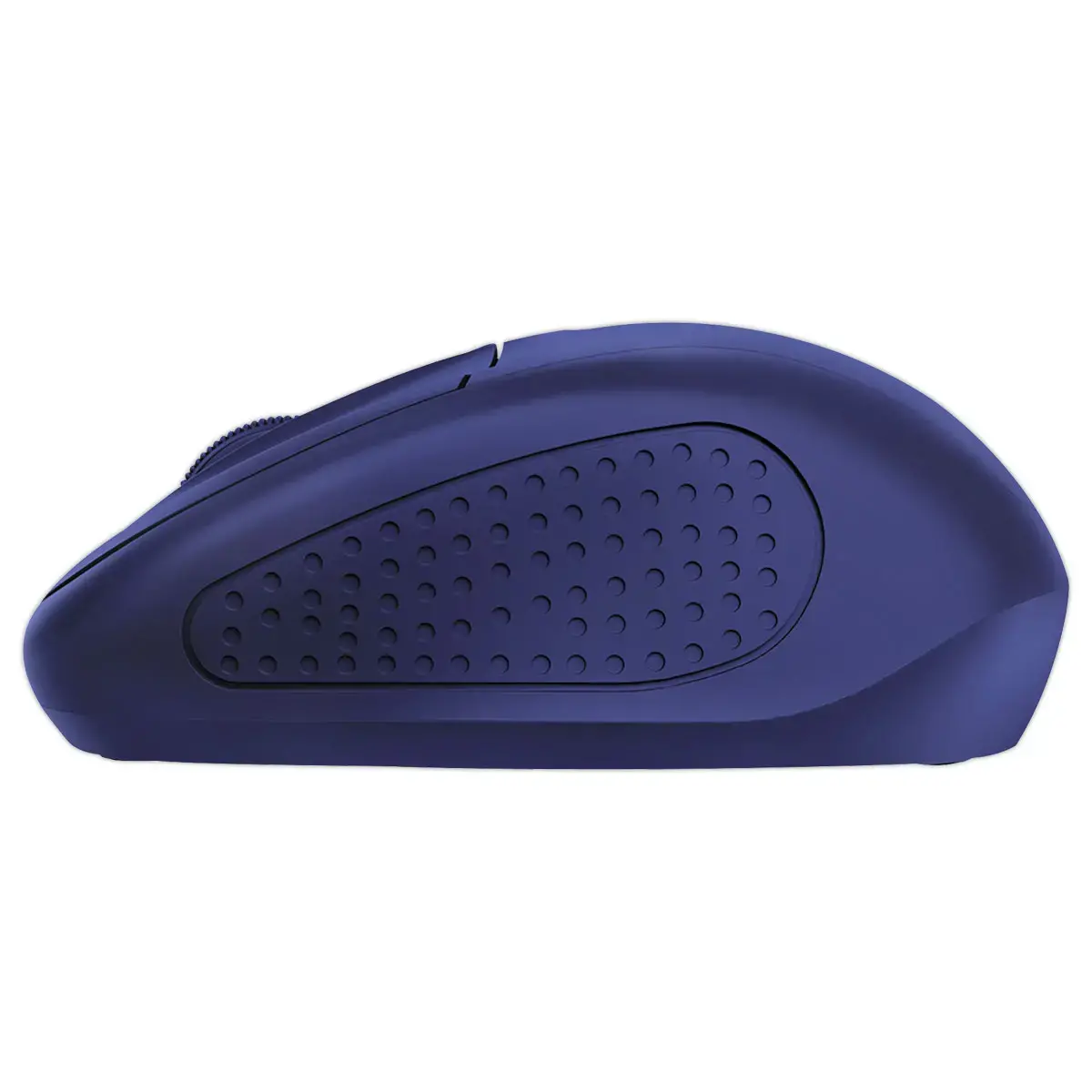 Souris Sans Fil Bleue Primo - Ambidextre - Trust photo du produit
