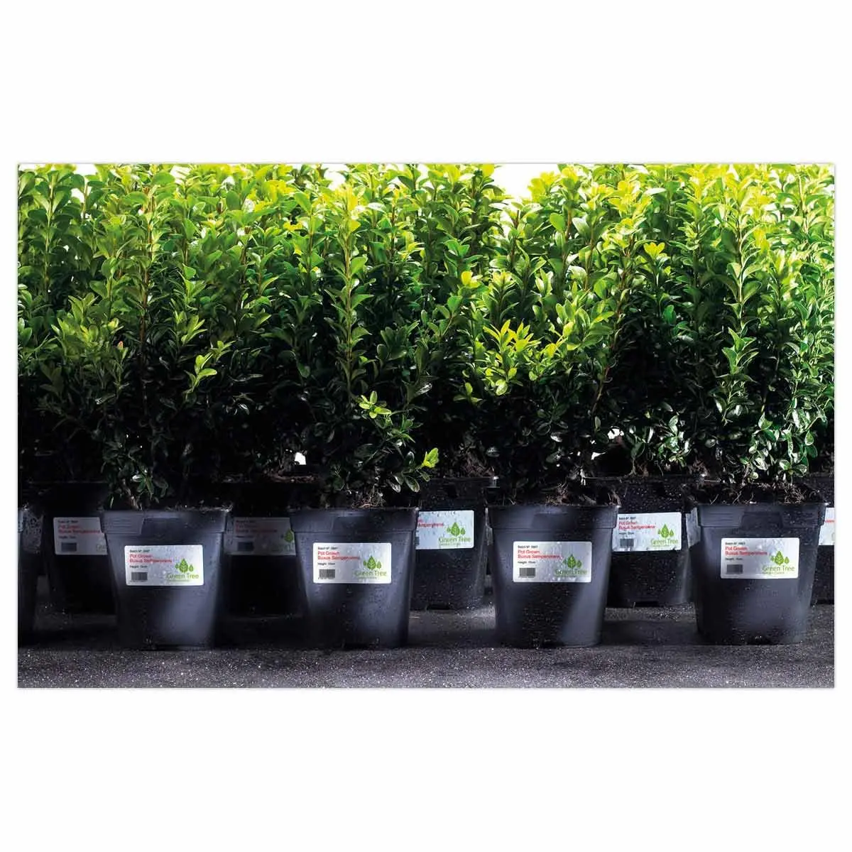 Bo&icirc;te de 40 &eacute;tiquettes blanches inalt&eacute;rables laser - 199,6 x 143,5 mm - Avery photo du produit