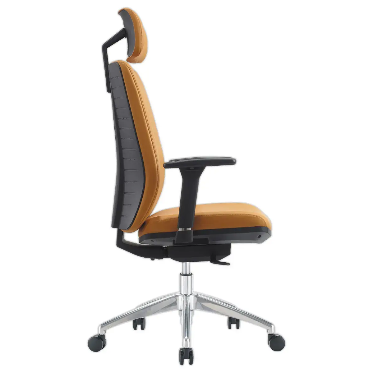 Appui-T&ecirc;te Sherman Gold + Cash Polyur&eacute;thane - Generique photo du produit