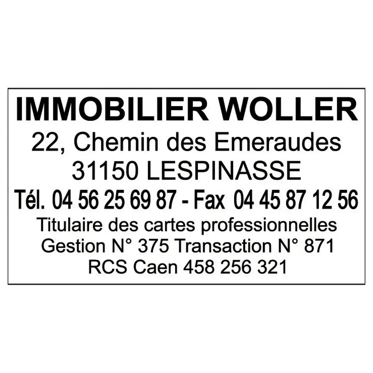 Tampon personnalisable Trodat Printy 4928 - Boîtier noir - Encre noire - 60 x 33 mm photo du produit