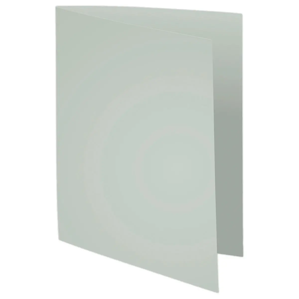 100 Chemises A4+ - gris pastel - 220g - Fiducial photo du produit