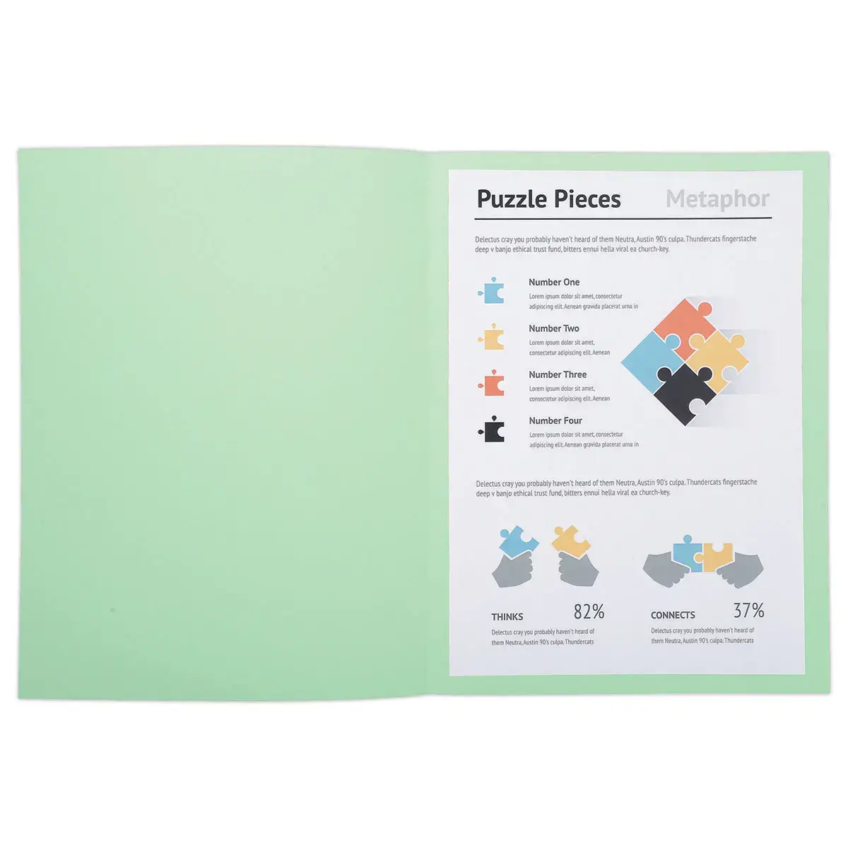 100 Chemises A4+ - Vert pastel - 220g - Fiducial photo du produit