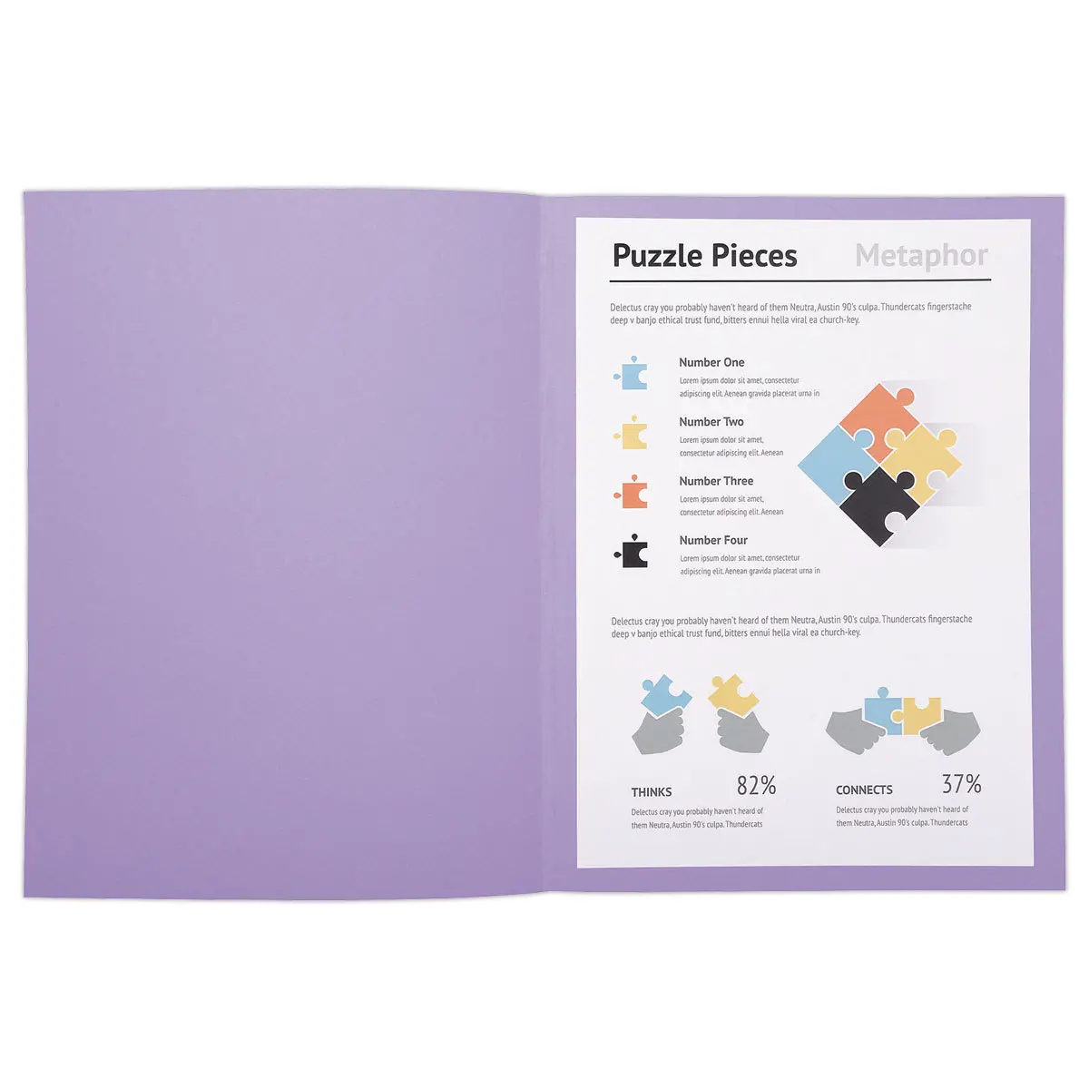 100 Chemises A4+ - Violet pastel - 220g - Fiducial photo du produit