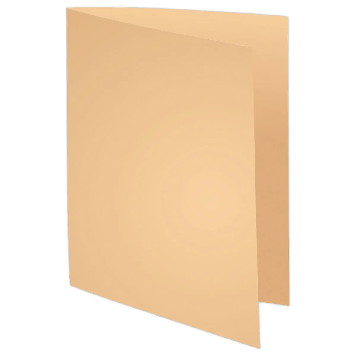 250 Sous-chemises FIDUCIAL 22x31cm- Pastel- 60g photo du produit