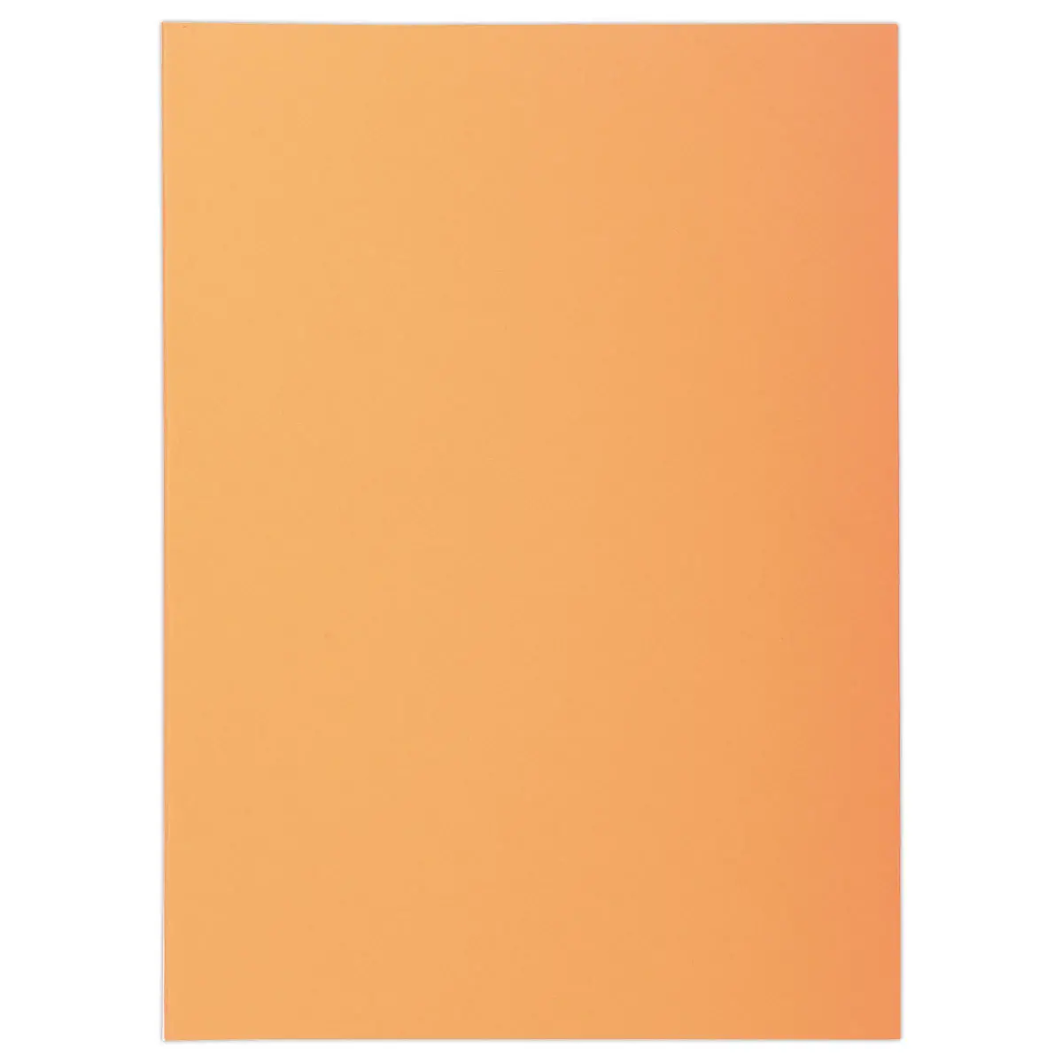 250 Sous-chemises FIDUCIAL 22x31cm- Pastel- 60g photo du produit