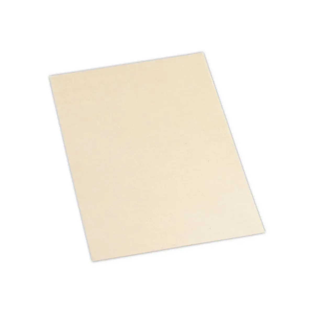 100 Couvertures A4 cartonnées beiges - FELLOWES photo du produit