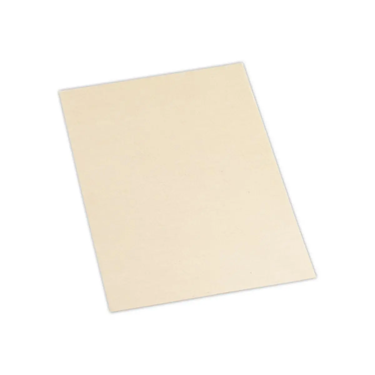 100 Couvertures A4 cartonn&eacute;es - beige - Fellowes photo du produit
