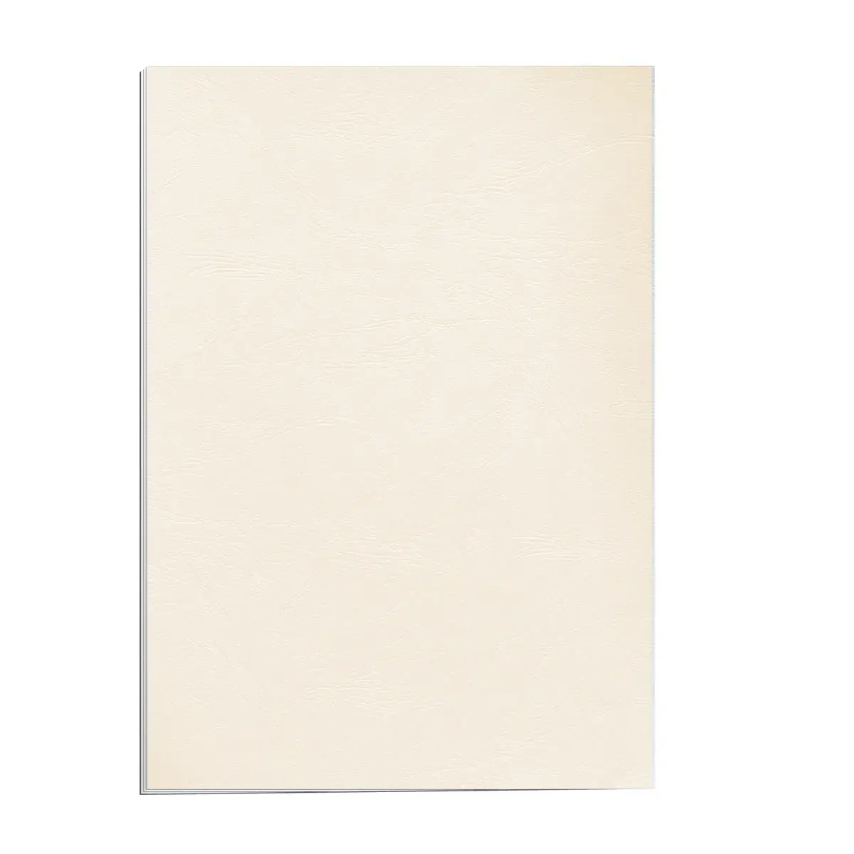 100 Couvertures A4 grain cuir - Fellowes photo du produit