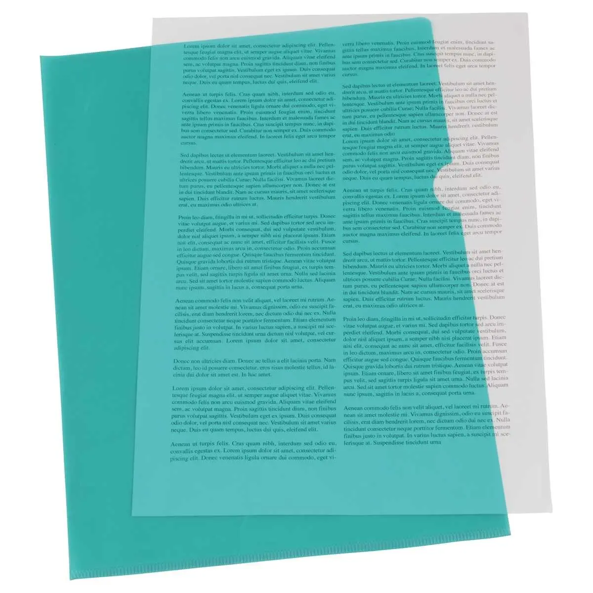 10 Pochettes coin transparentes en plastique - Vert - PVC - FIDUCIAL photo du produit