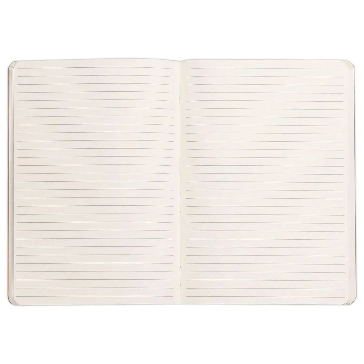 Carnet broch&eacute; Rhodiarama - A5 - 160 pages - noire - Rhodia photo du produit