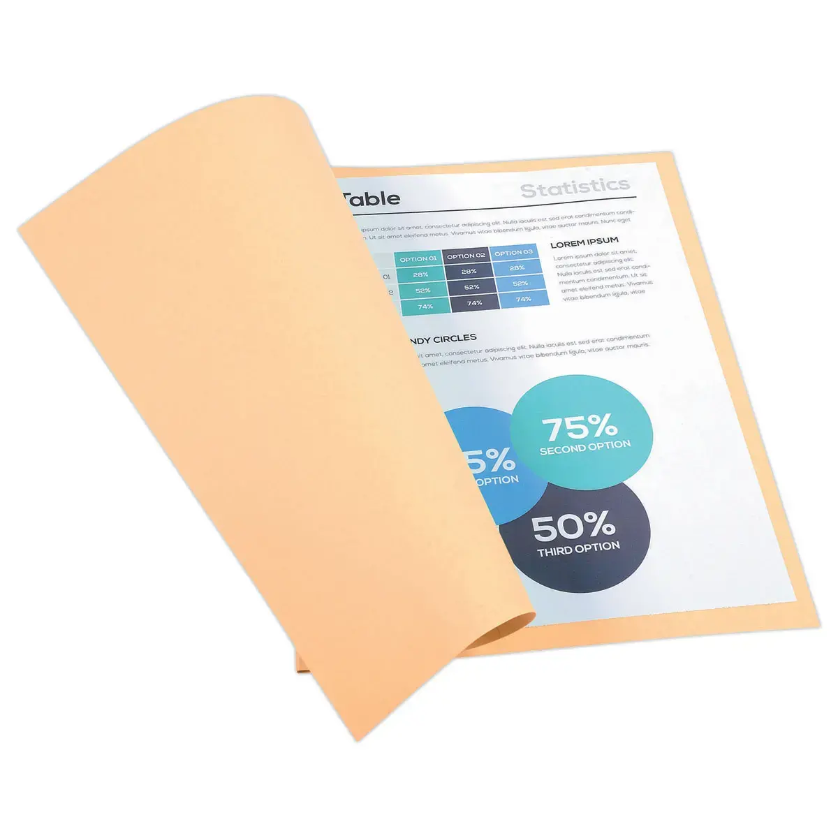 100 Chemises de rangement Forever 170 - Bulle - Exacompta photo du produit
