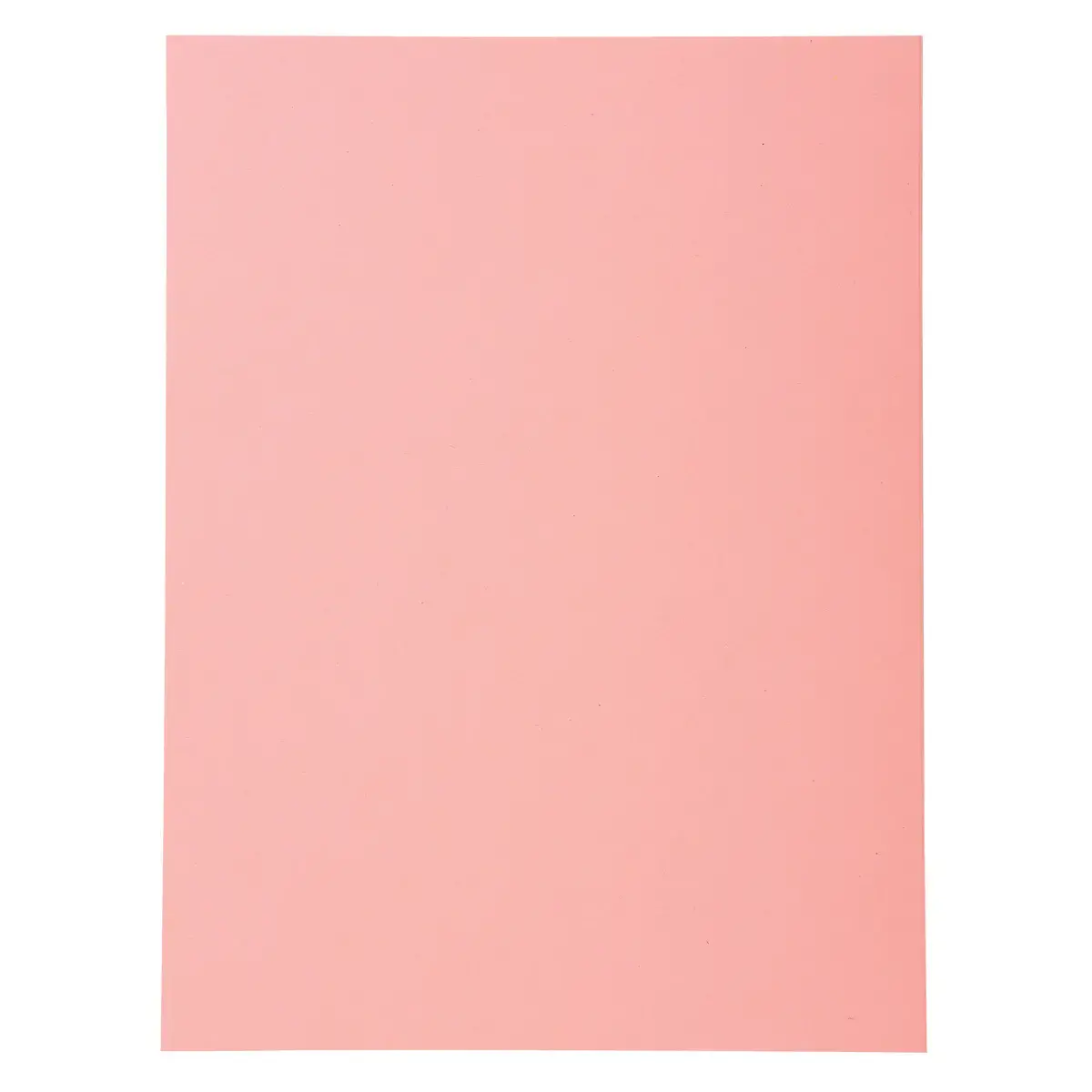 100 Chemises de rangement Forever 170 - Rose - Exacompta photo du produit