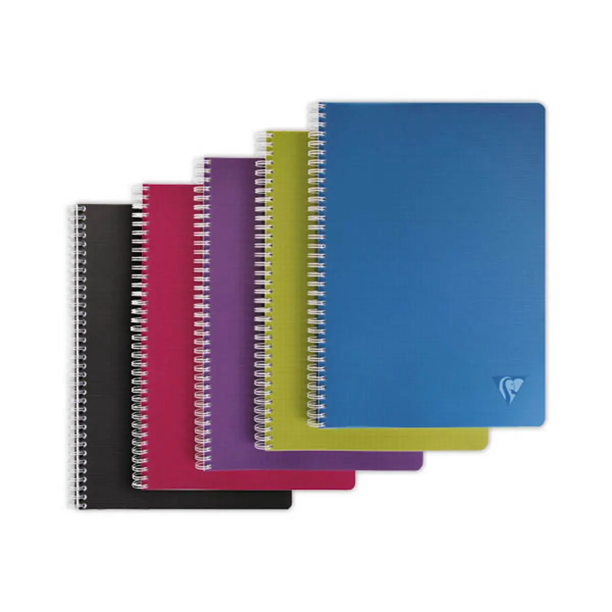 Cahier spirale A4 Linicolor Intense - 100 pages - CLAIREFONTAINE photo du produit