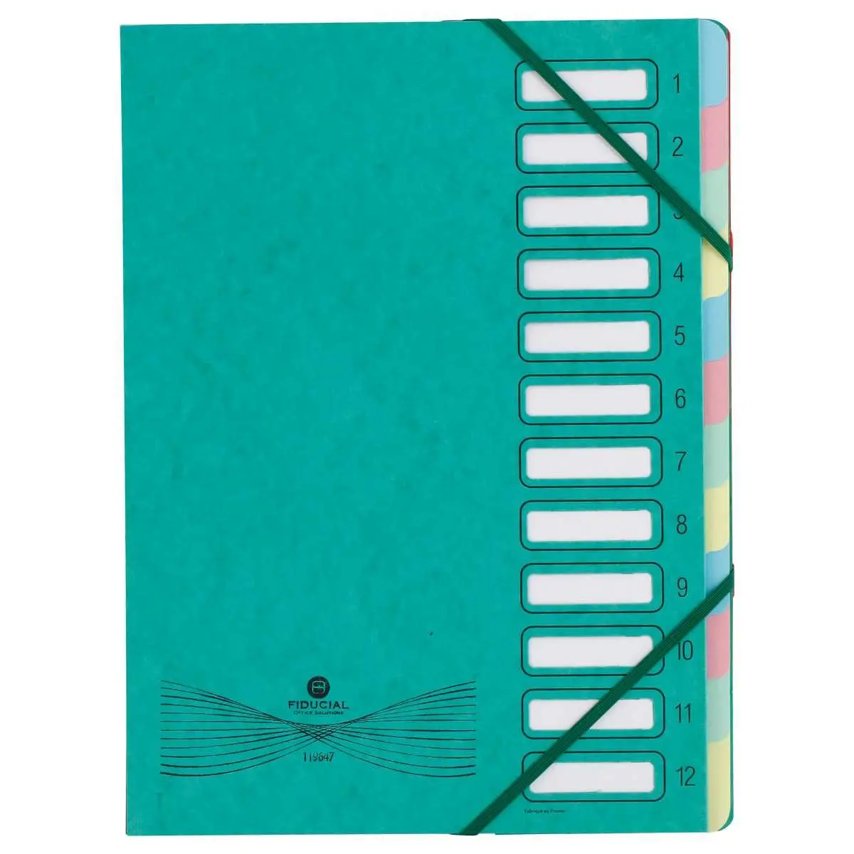 Trieur extensible carte lustrée - 12 onglets - Vert - FIDUCIAL photo du produit