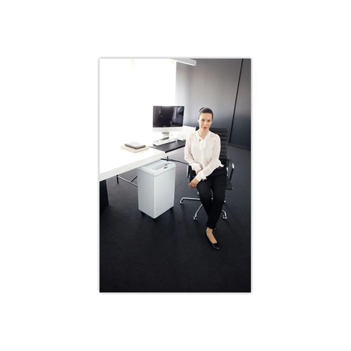 Destructeur Ideal 2503 - coupe crois&eacute;e photo du produit