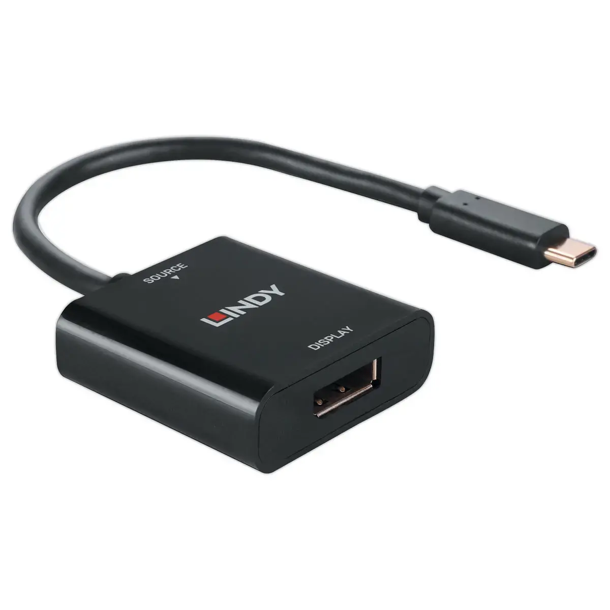 Convertisseur USB Type C vers DisplayPort 4K144 - Lindy photo du produit