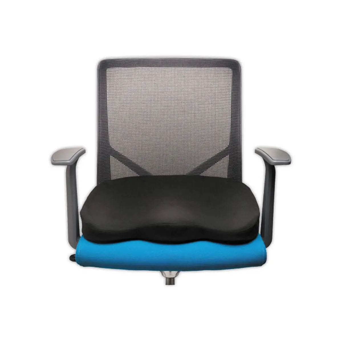 Coussin de si&egrave;ge - KENSINGTON photo du produit