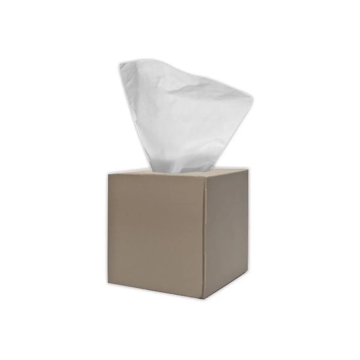 Boîte distributrice de 90 mouchoirs - 19,6 x 20 cm photo du produit