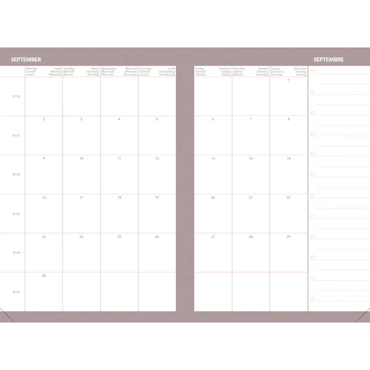 Agenda semainier AFFAIRES COLOR ML Pastel- 10x15 cm - Rose - Décembre à décembre - QUO VADIS photo du produit