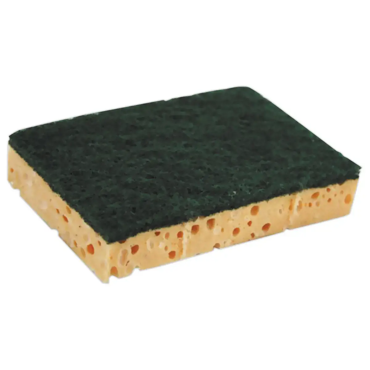 10 Tampons sur éponges - 12.7 x 8.9 cm - NICOLS photo du produit