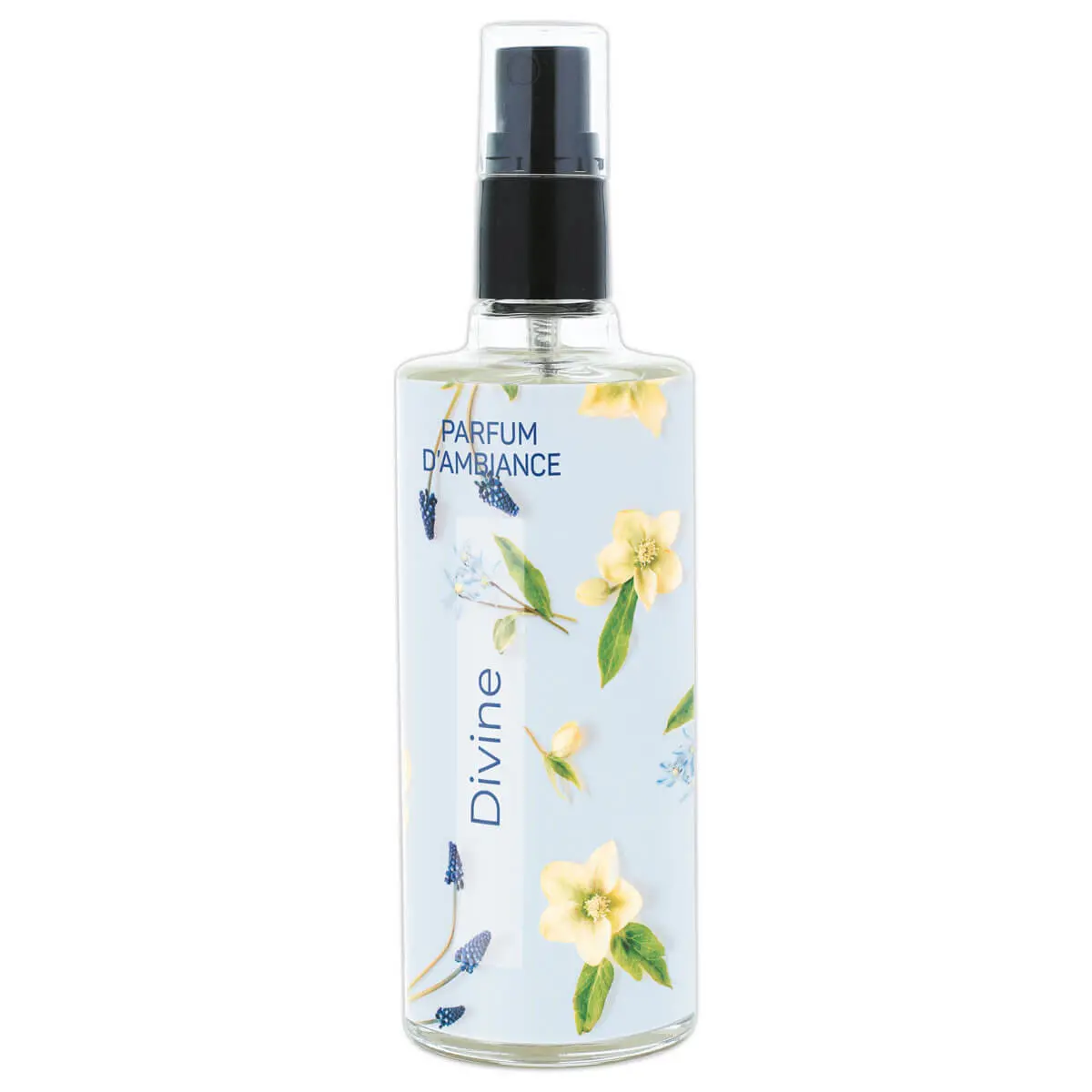 Vaporisateur Vapolux Divine photo du produit