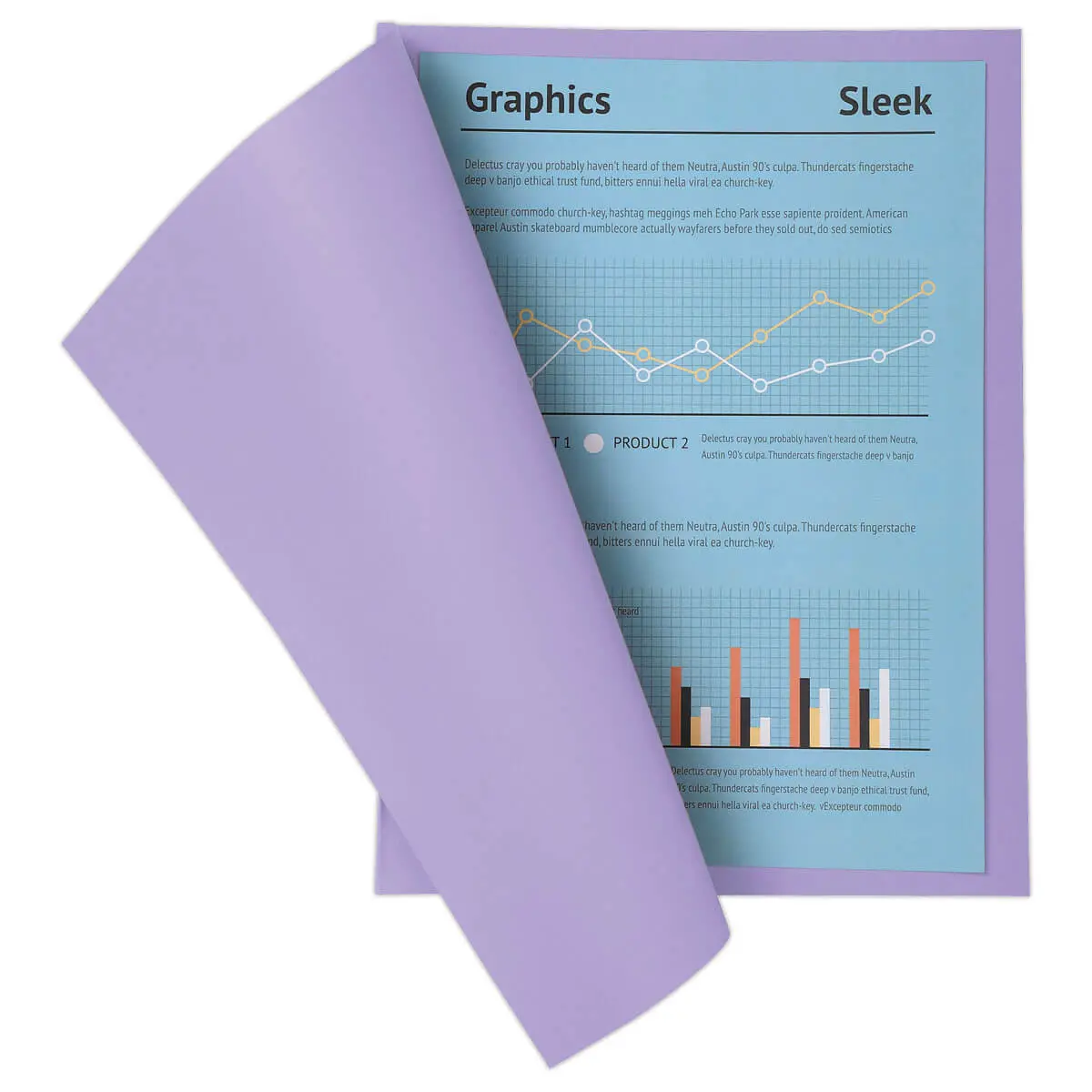 100 Chemises 24 x32 cm "Super 210" - violet - Exacompta photo du produit