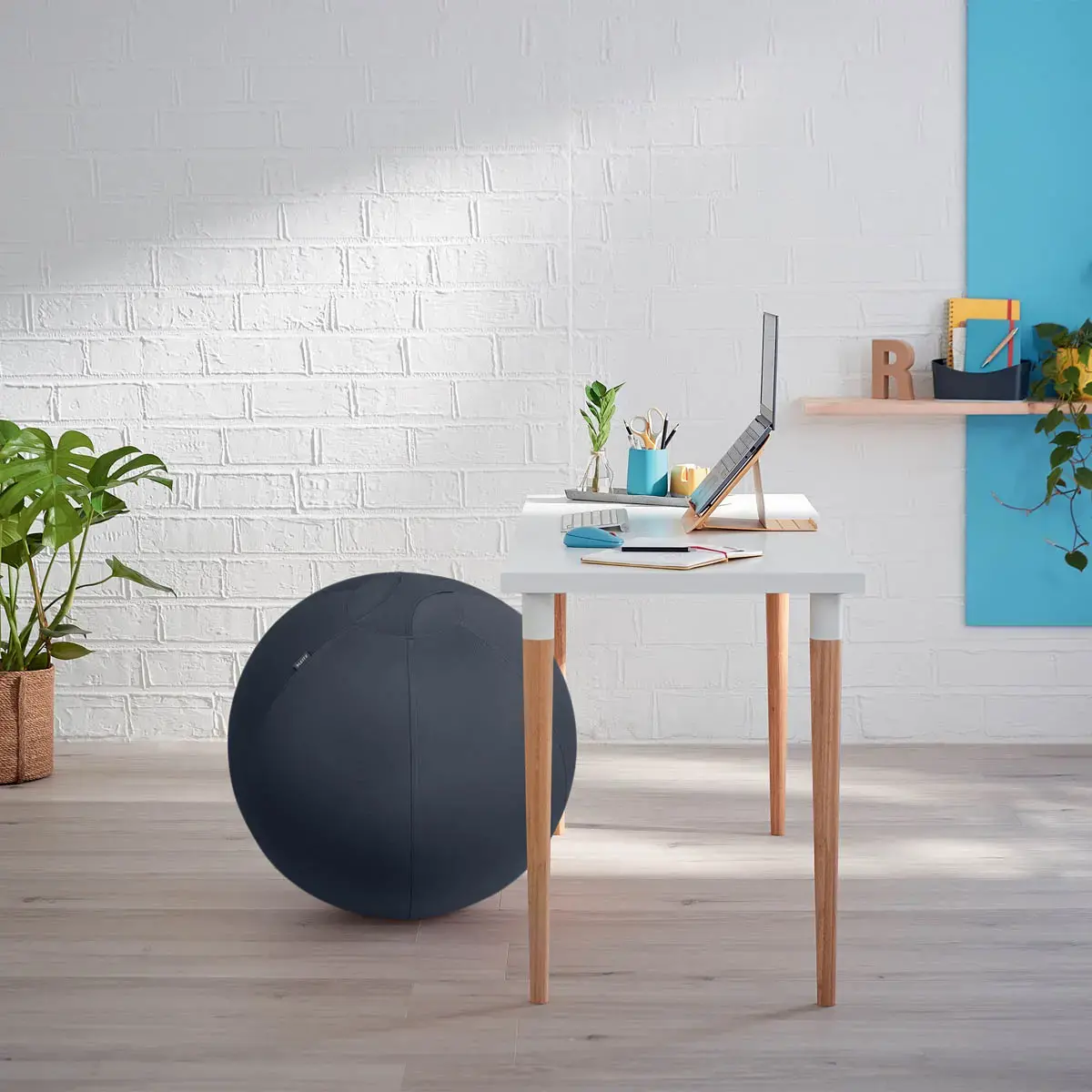 Ballon assise ergonomique Ergo Cosy Active - &Oslash;  65 cm - Noir - Leitz photo du produit
