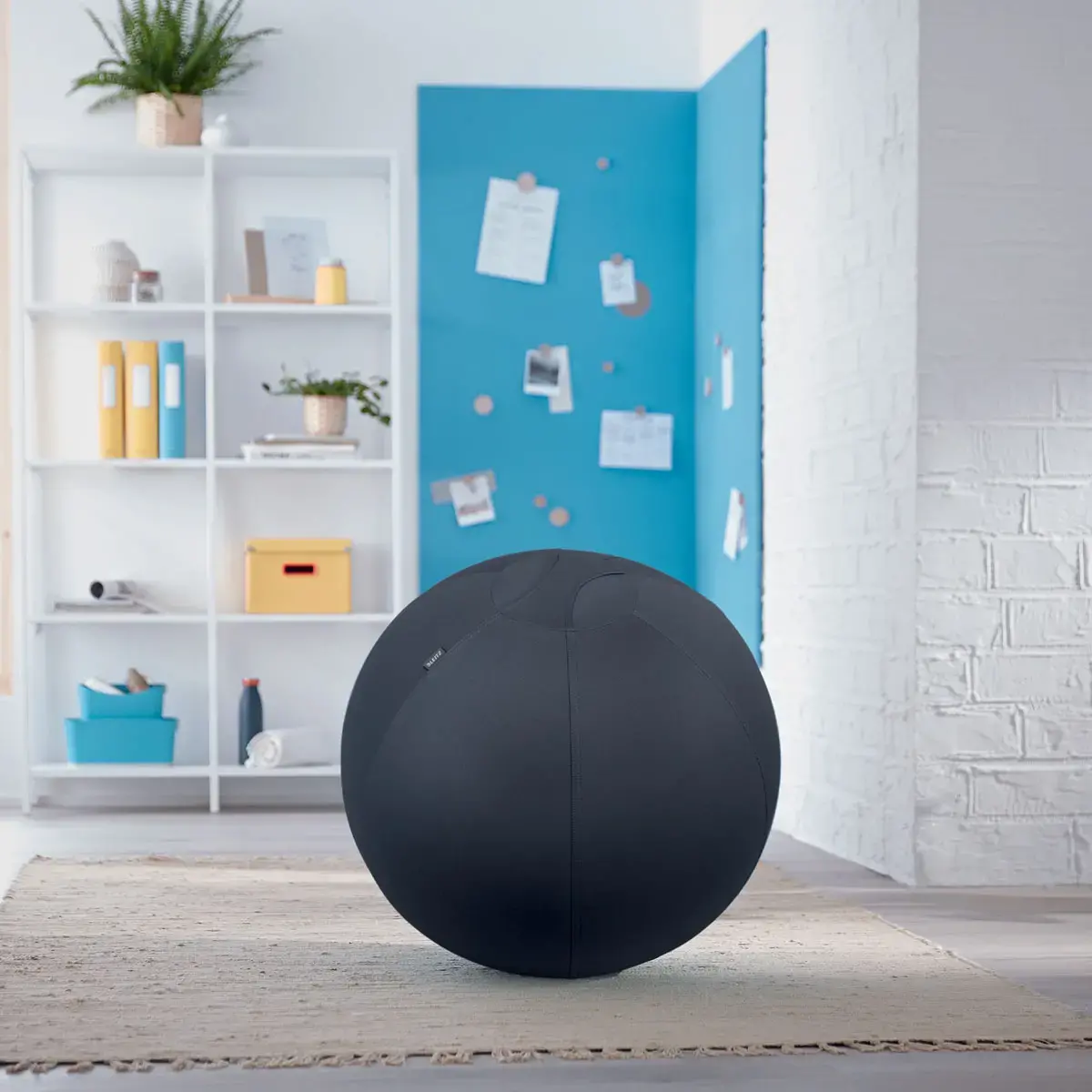 Ballon assise ergonomique Ergo Cosy Active - &Oslash;  65 cm - Noir - Leitz photo du produit