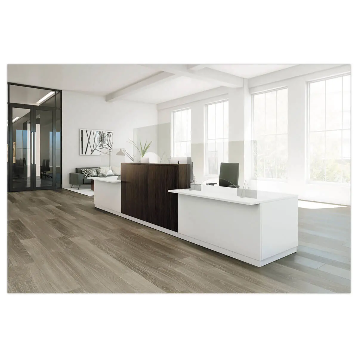 2 Ecrans de protection L80 photo du produit