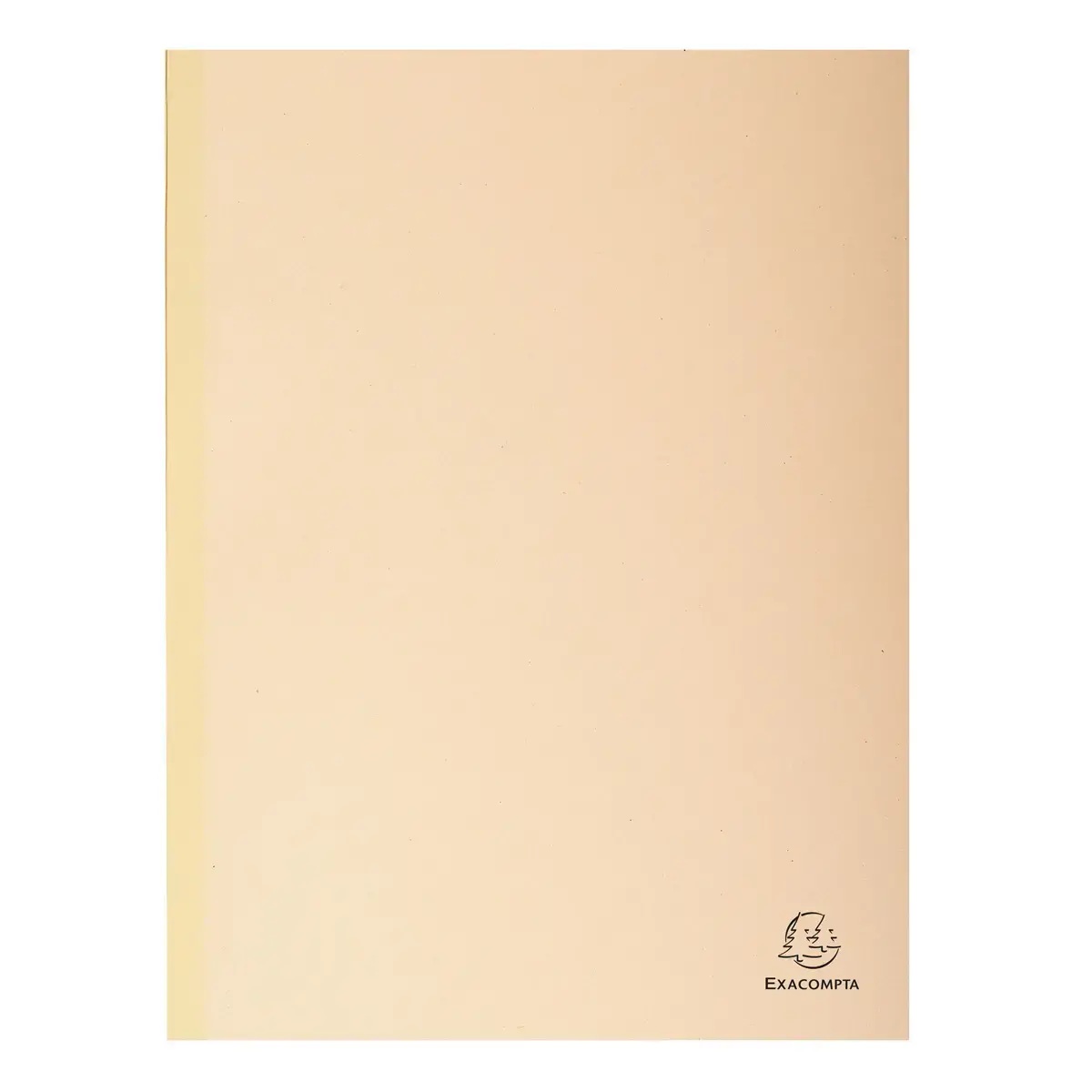 25 Chemises dos toilé Forever 320g - 24 x 32 cm - Bulle - Exacompta photo du produit